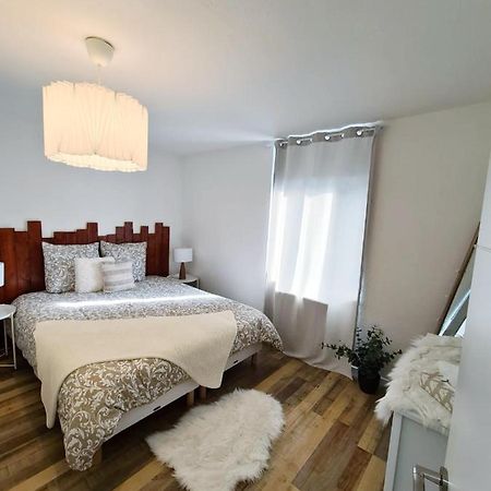 Le Raffine-Parking Prive-Proche Frontiere Bale Apartment Saint-Louis  Bagian luar foto