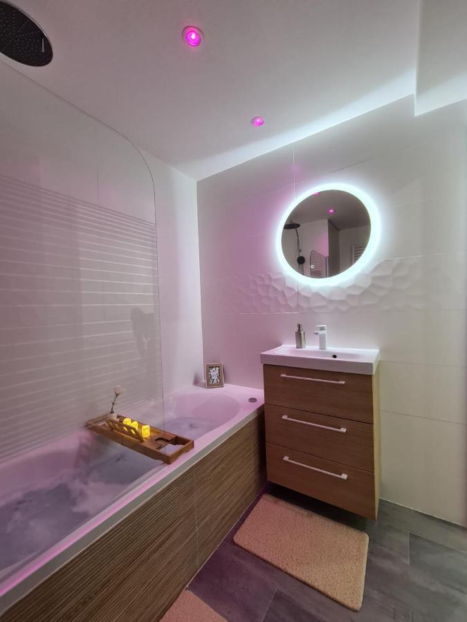 Le Raffine-Parking Prive-Proche Frontiere Bale Apartment Saint-Louis  Bagian luar foto