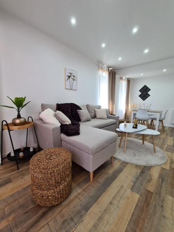 Le Raffine-Parking Prive-Proche Frontiere Bale Apartment Saint-Louis  Bagian luar foto