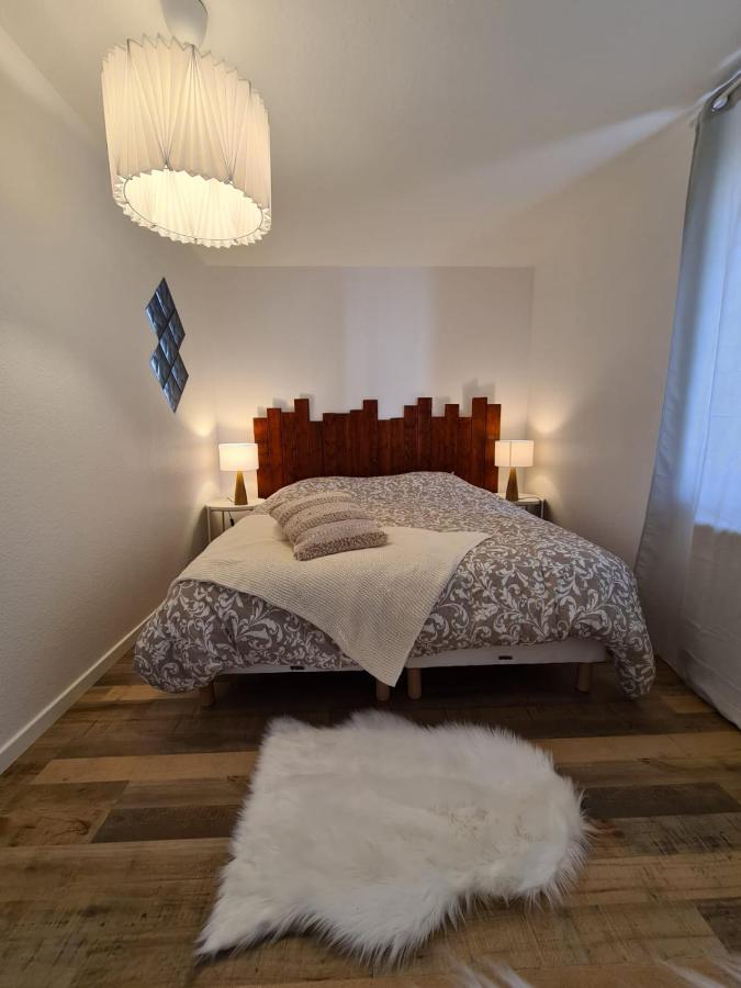 Le Raffine-Parking Prive-Proche Frontiere Bale Apartment Saint-Louis  Bagian luar foto